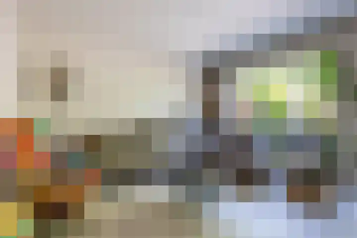 Cacaomolen 10 Koog aan de Zaan thumbnail 8