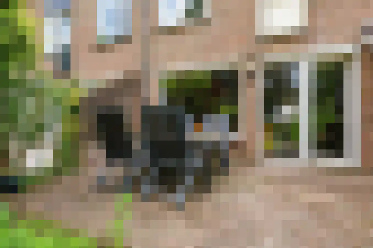 Cacaomolen 16 Koog aan de Zaan thumbnail 10