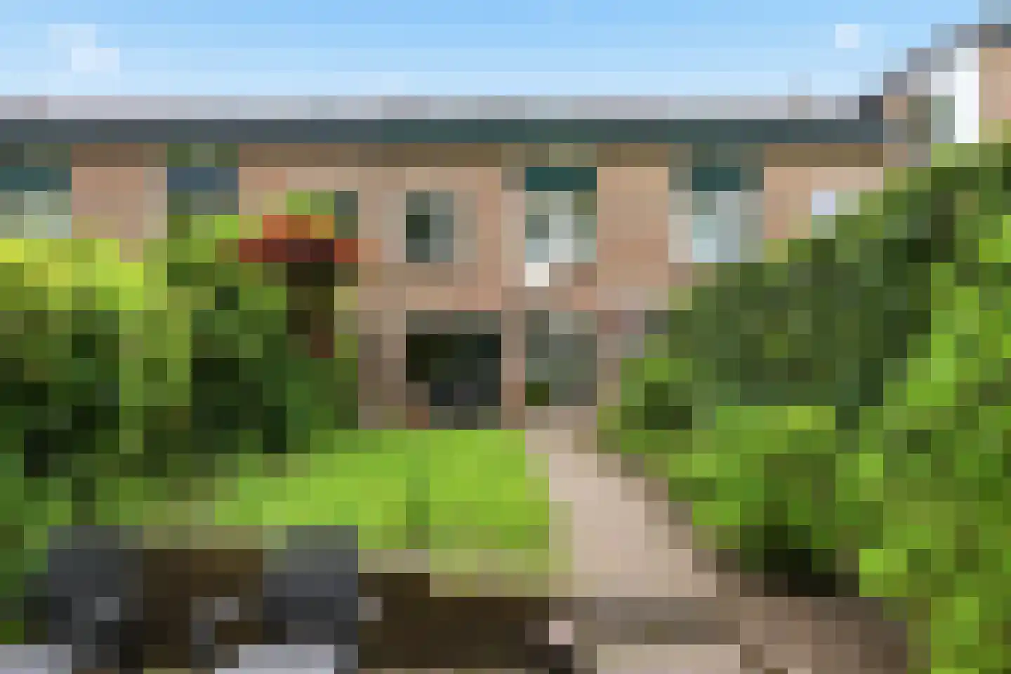 Cacaomolen 16 Koog aan de Zaan thumbnail 11