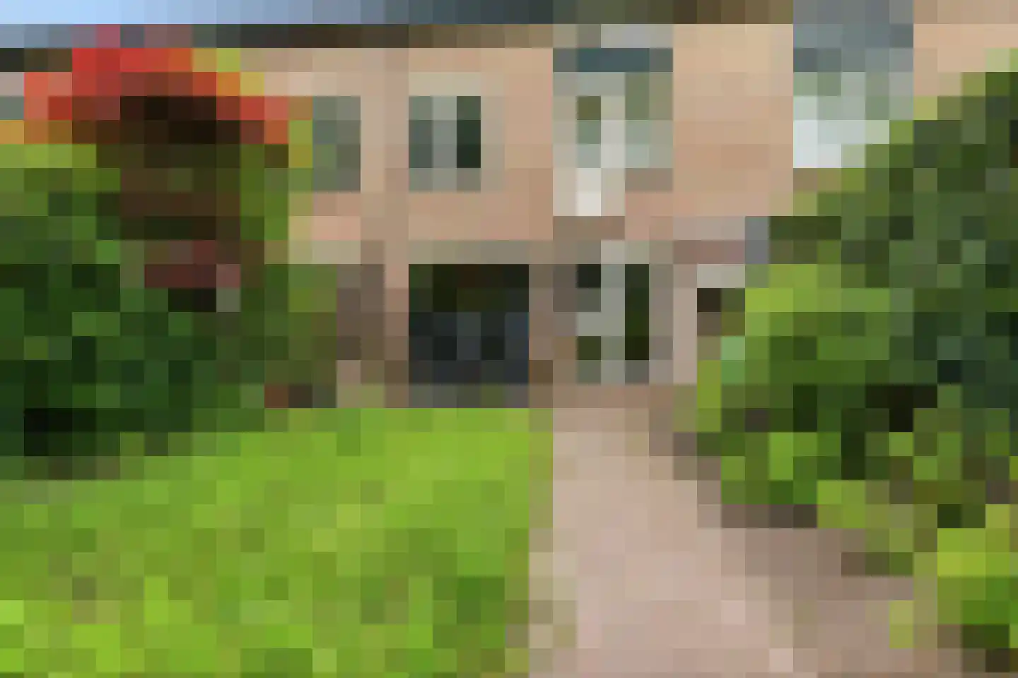 Cacaomolen 16 Koog aan de Zaan thumbnail 14