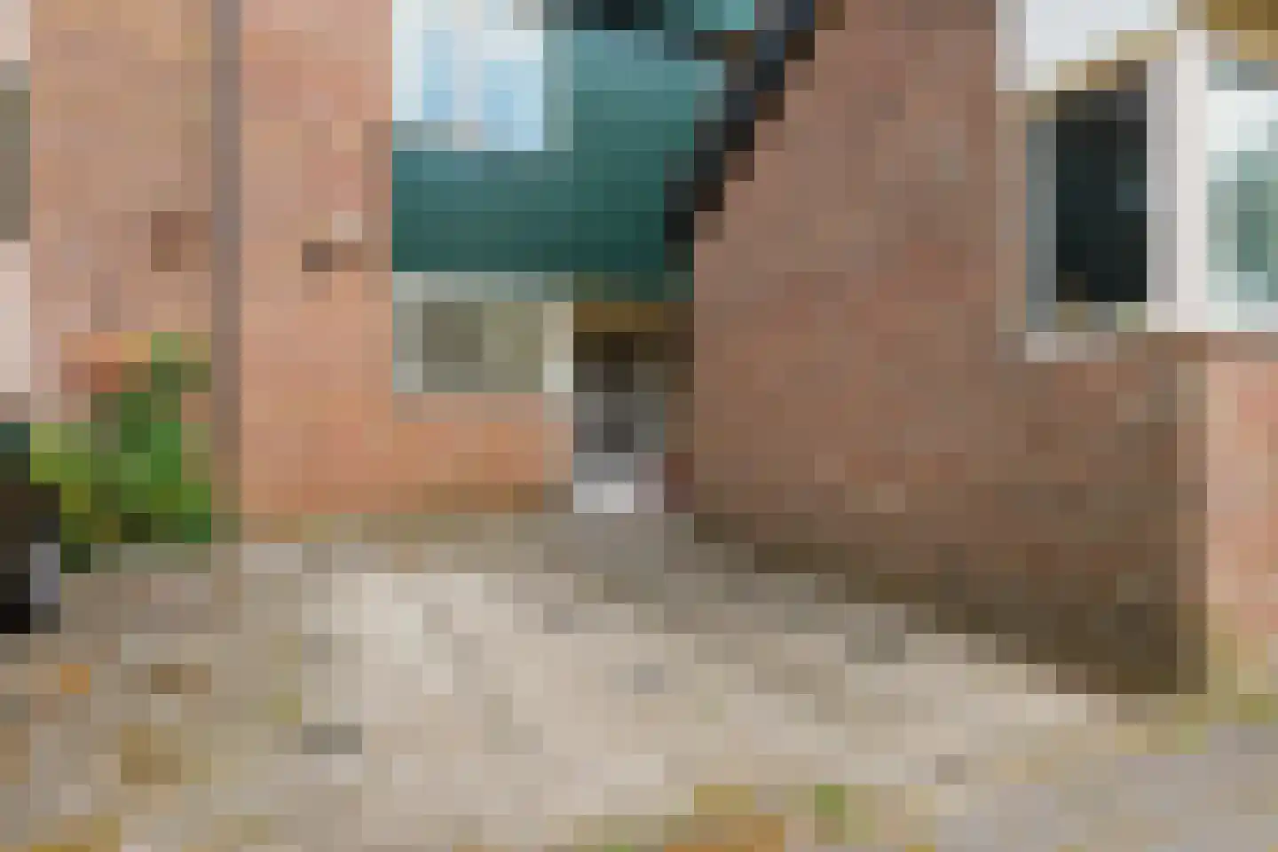 Cacaomolen 16 Koog aan de Zaan thumbnail 30