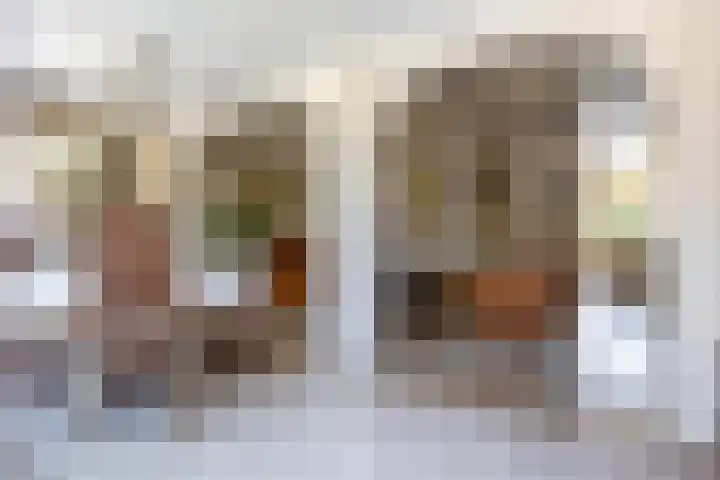 Cacaomolen 34 Koog aan de Zaan thumbnail 11