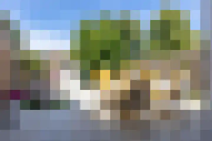 Cacaomolen 34 Koog aan de Zaan thumbnail 13