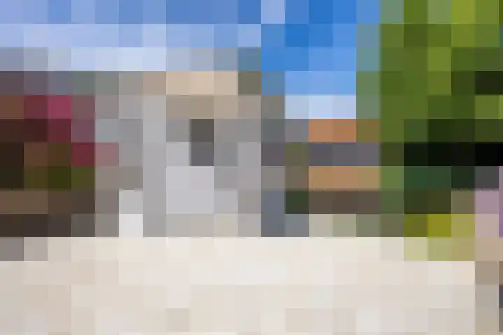 Cacaomolen 34 Koog aan de Zaan thumbnail 14