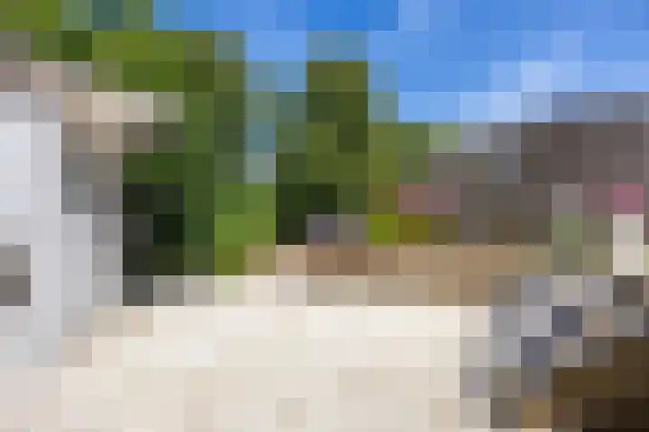 Cacaomolen 34 Koog aan de Zaan thumbnail 15