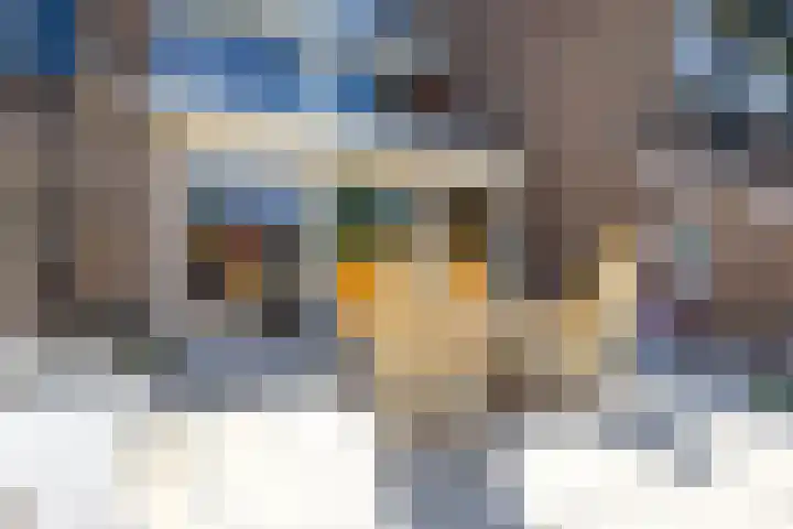 Cacaomolen 34 Koog aan de Zaan thumbnail 17