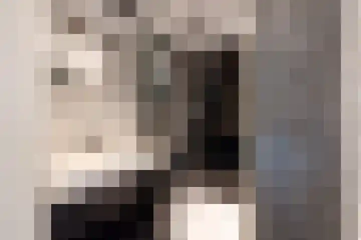 Cacaomolen 34 Koog aan de Zaan thumbnail 27