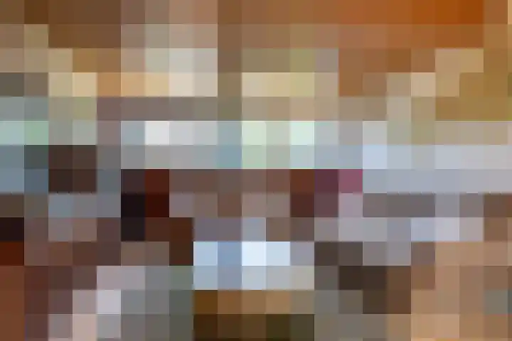 Cacaomolen 34 Koog aan de Zaan thumbnail 30