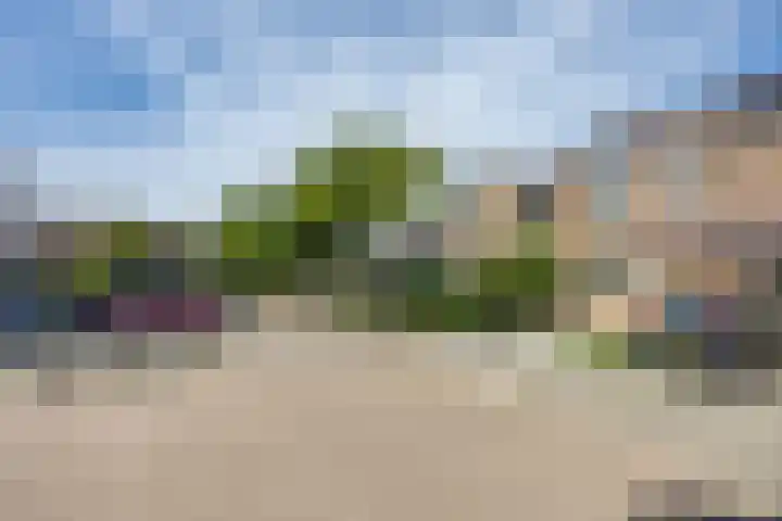 Cacaomolen 34 Koog aan de Zaan thumbnail 33