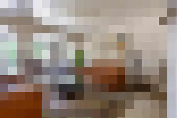 Cacaomolen 34 Koog aan de Zaan thumbnail 7