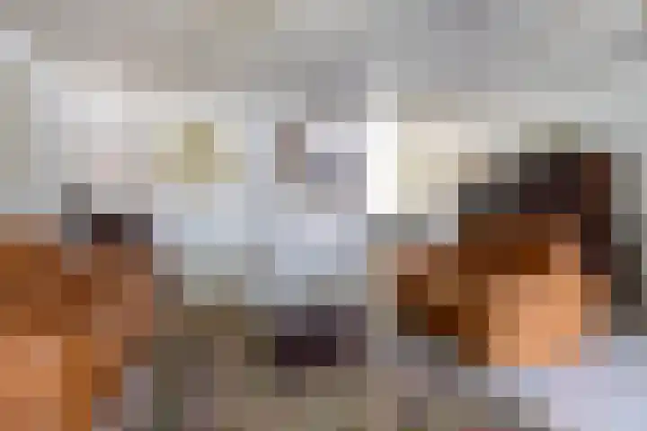 Cacaomolen 34 Koog aan de Zaan thumbnail 8