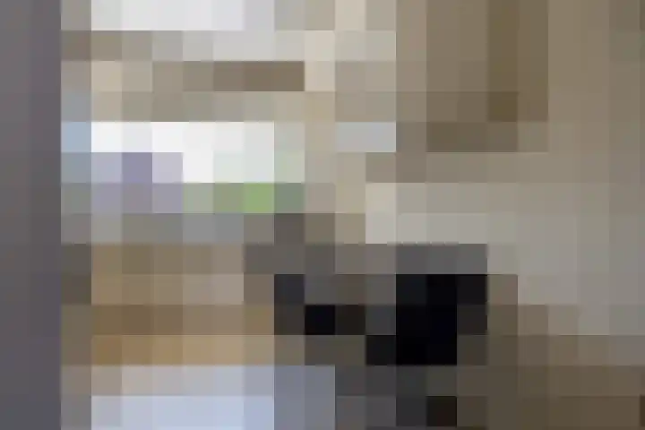Cacaomolen 34 Koog aan de Zaan thumbnail 9