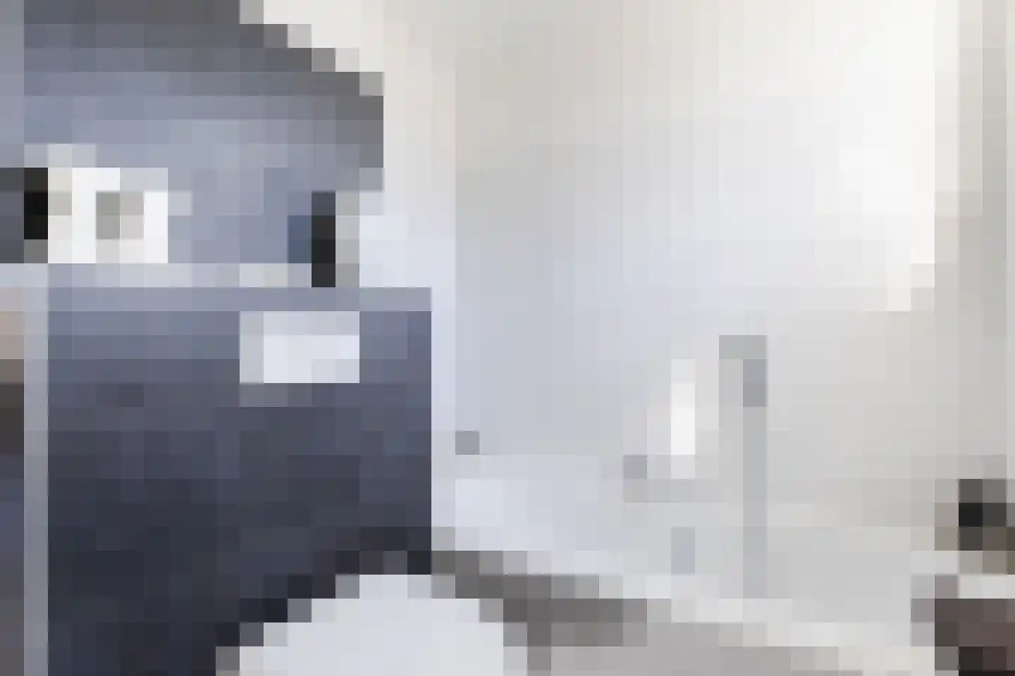 Cacaomolen 46 Koog aan de Zaan thumbnail 20