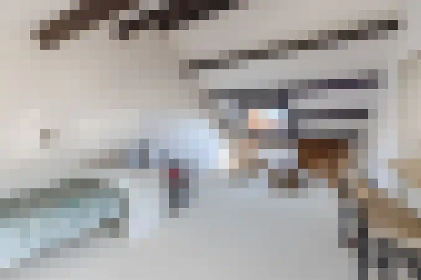 Cacaomolen 46 Koog aan de Zaan thumbnail 25