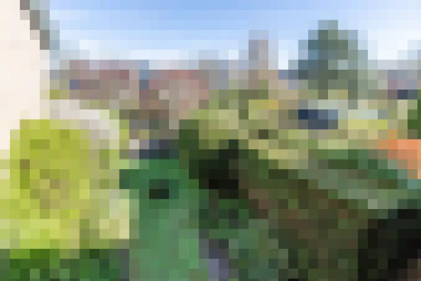 Cacaomolen 46 Koog aan de Zaan thumbnail 27