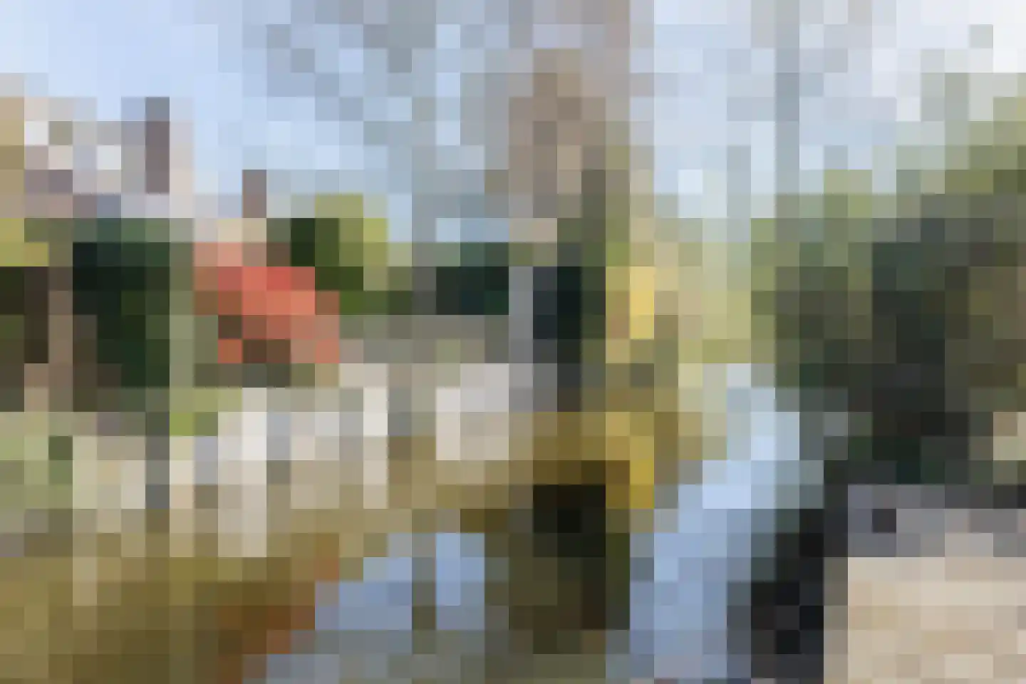 Cacaomolen 46 Koog aan de Zaan foto 3