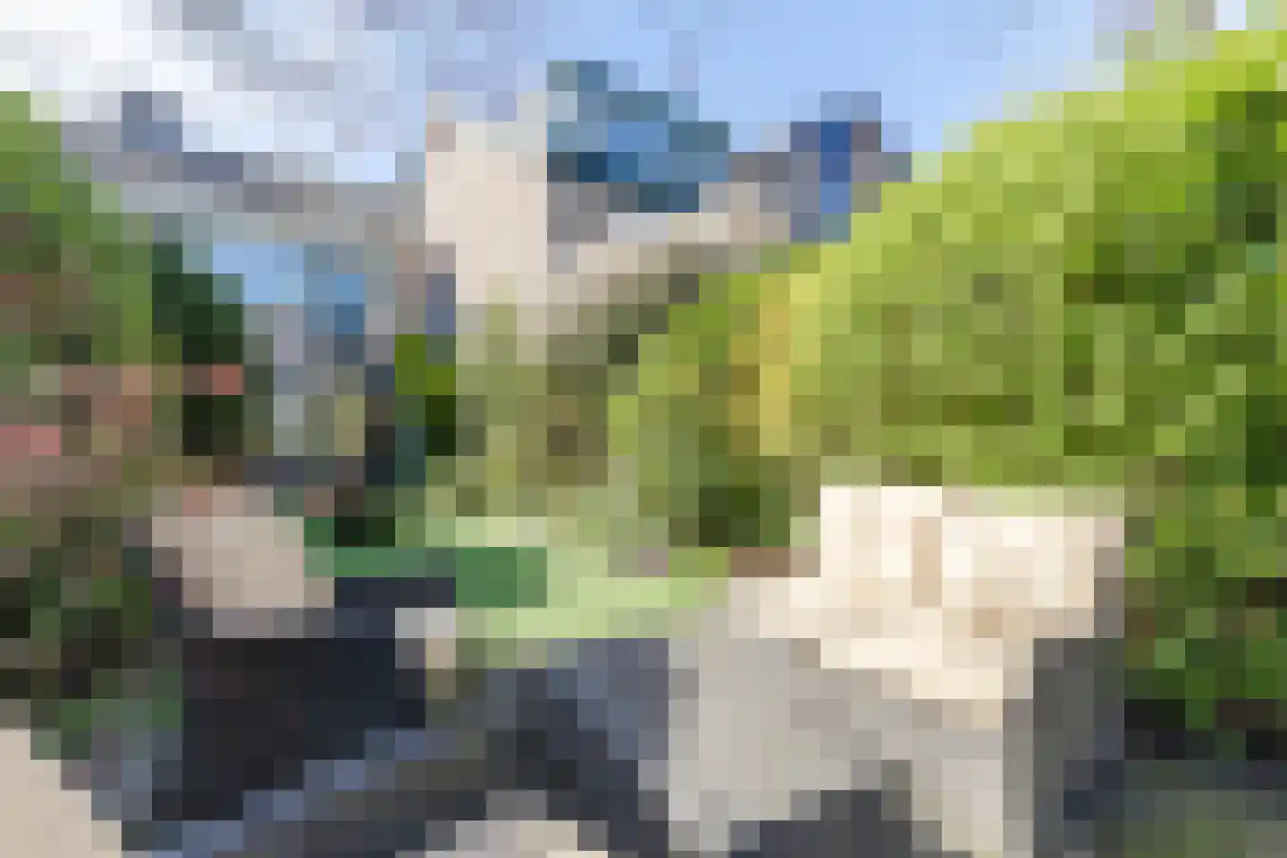 Cacaomolen 46 Koog aan de Zaan thumbnail 30