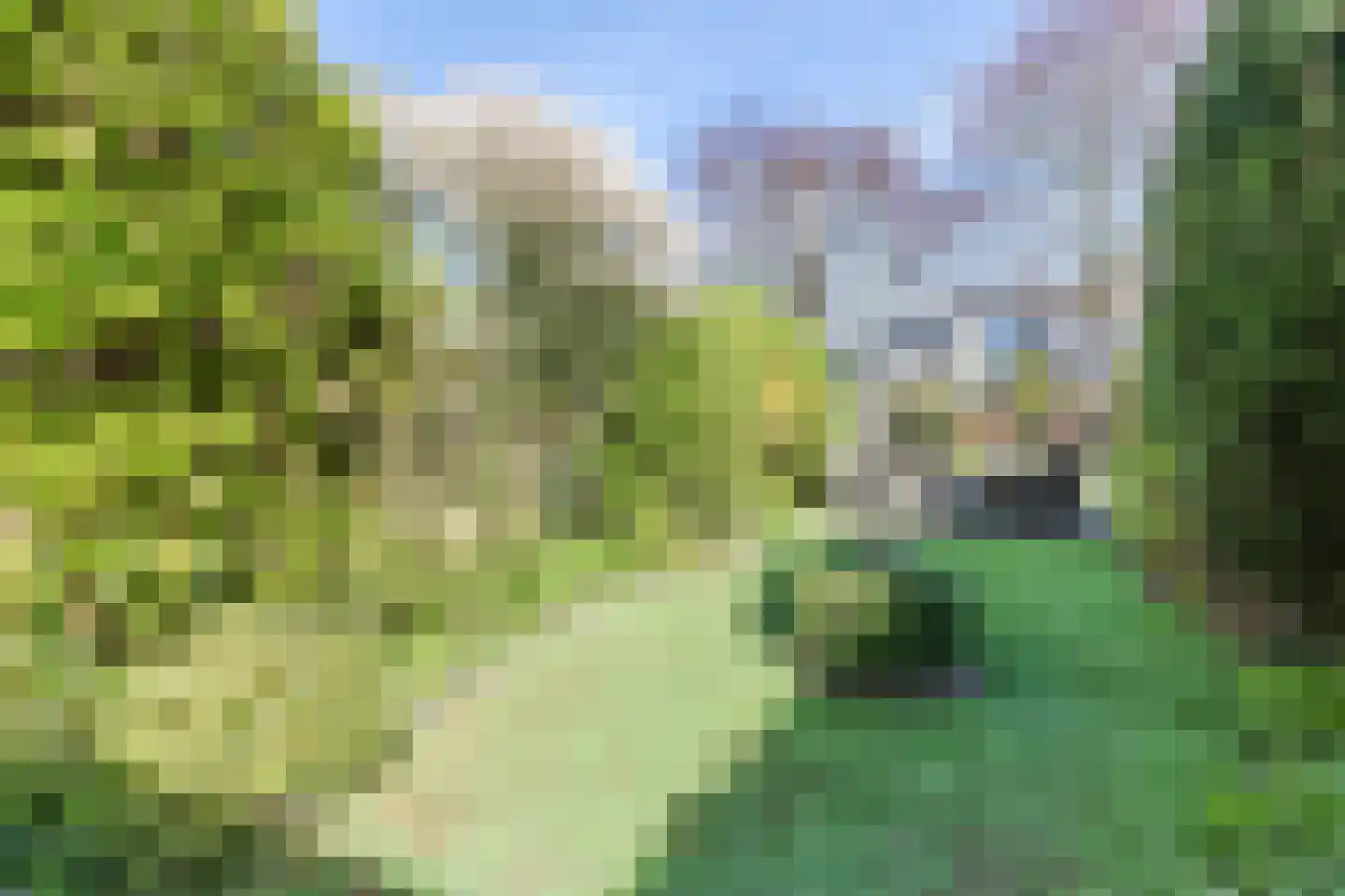 Cacaomolen 46 Koog aan de Zaan thumbnail 31