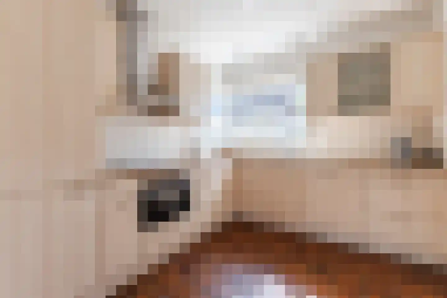 Cacaomolen 46 Koog aan de Zaan thumbnail 5
