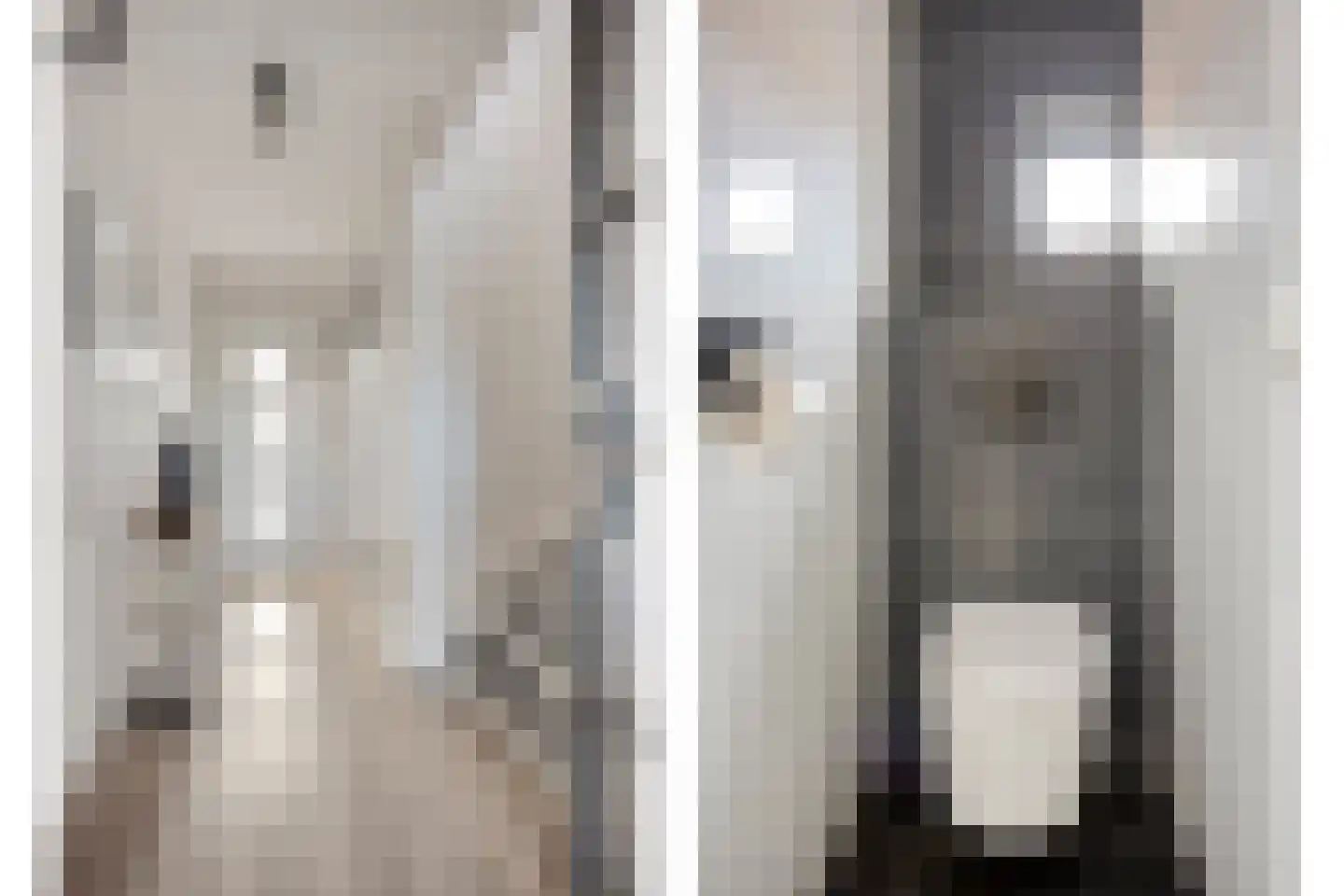 Cactusstraat 10 Wernhout thumbnail 7