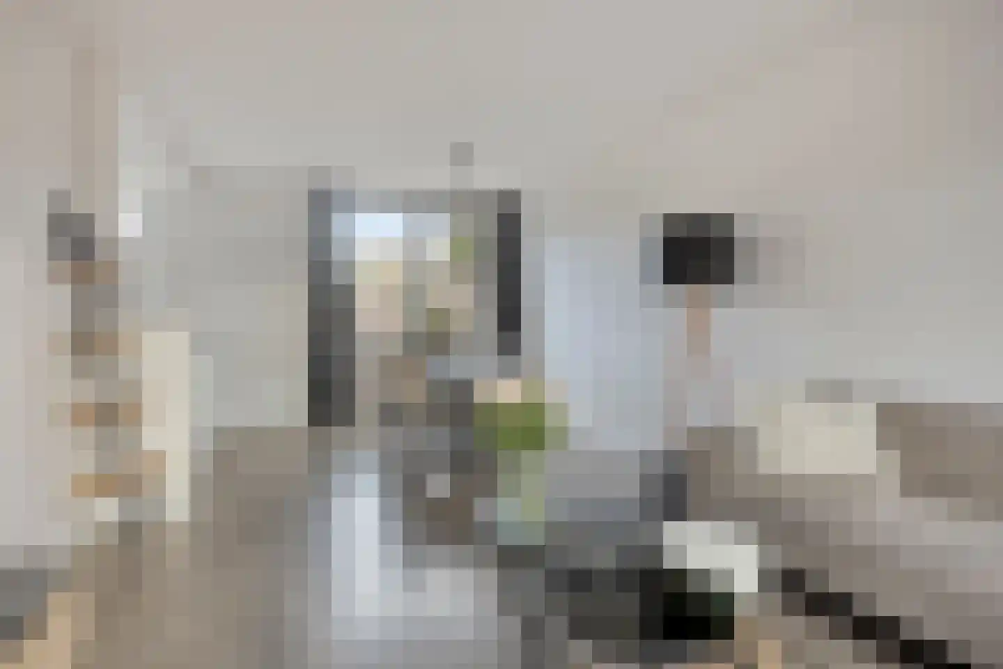 Cactusstraat 10 Wernhout thumbnail 9