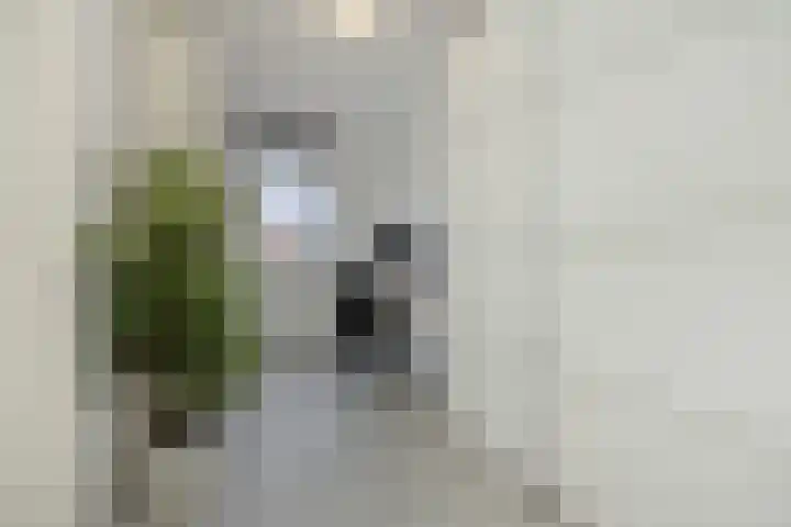 Cadansstraat 18 Rosmalen thumbnail 22