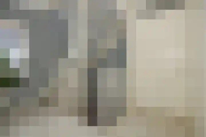 Cadansstraat 18 Rosmalen thumbnail 26