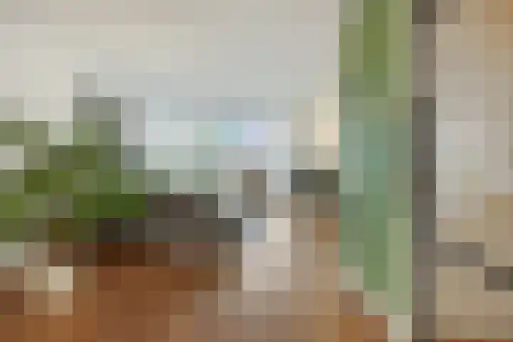 Cadansstraat 18 Rosmalen thumbnail 8