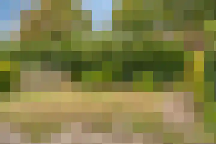 Caddenbosch 11 Goirle thumbnail 29