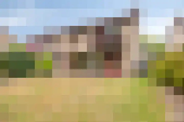 Caddenbosch 11 Goirle thumbnail 32