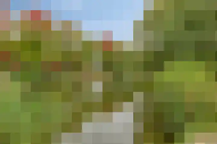 Caddenbosch 11 Goirle thumbnail 38