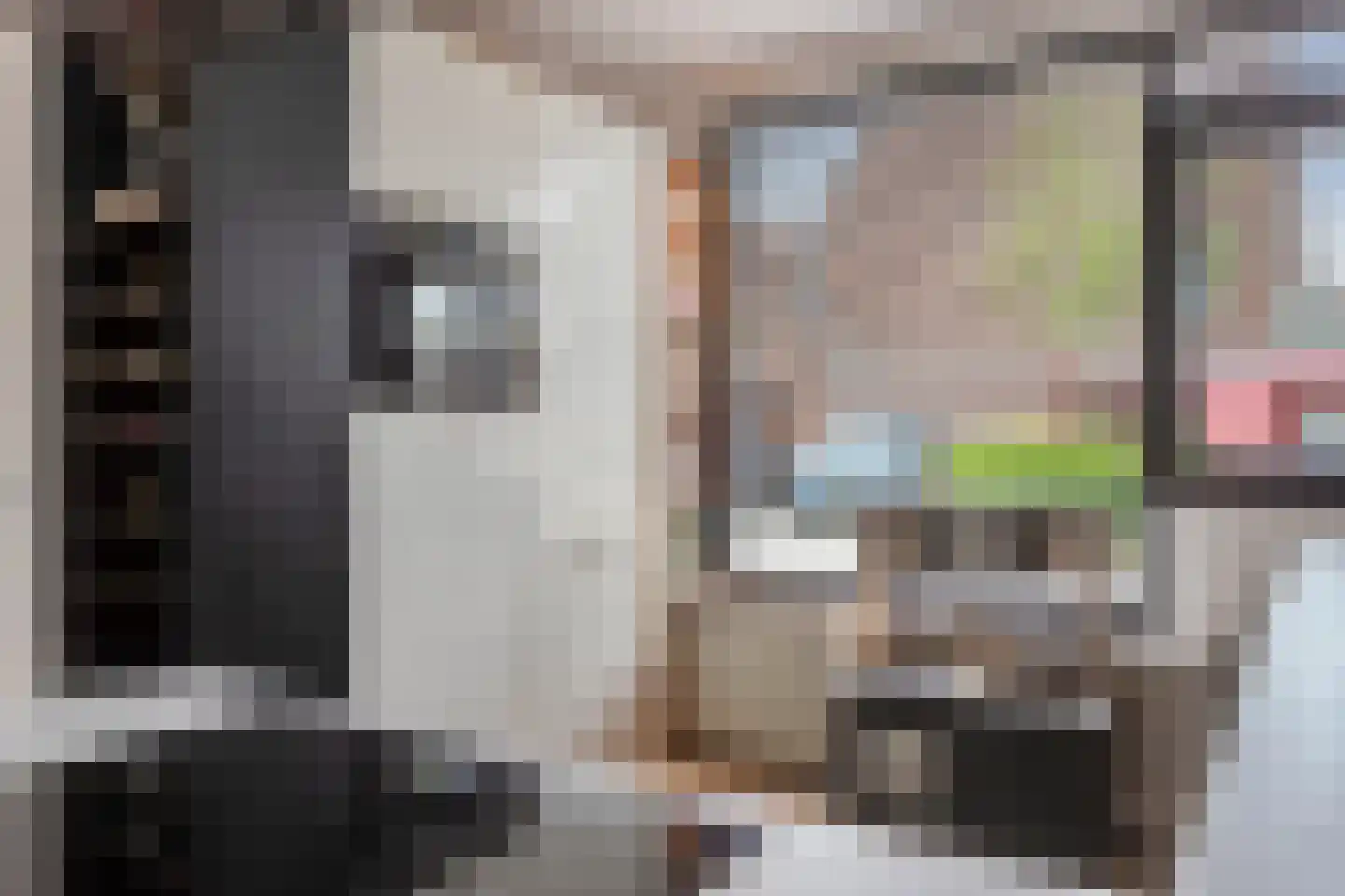 Cadizerf 6 Rotterdam thumbnail 13