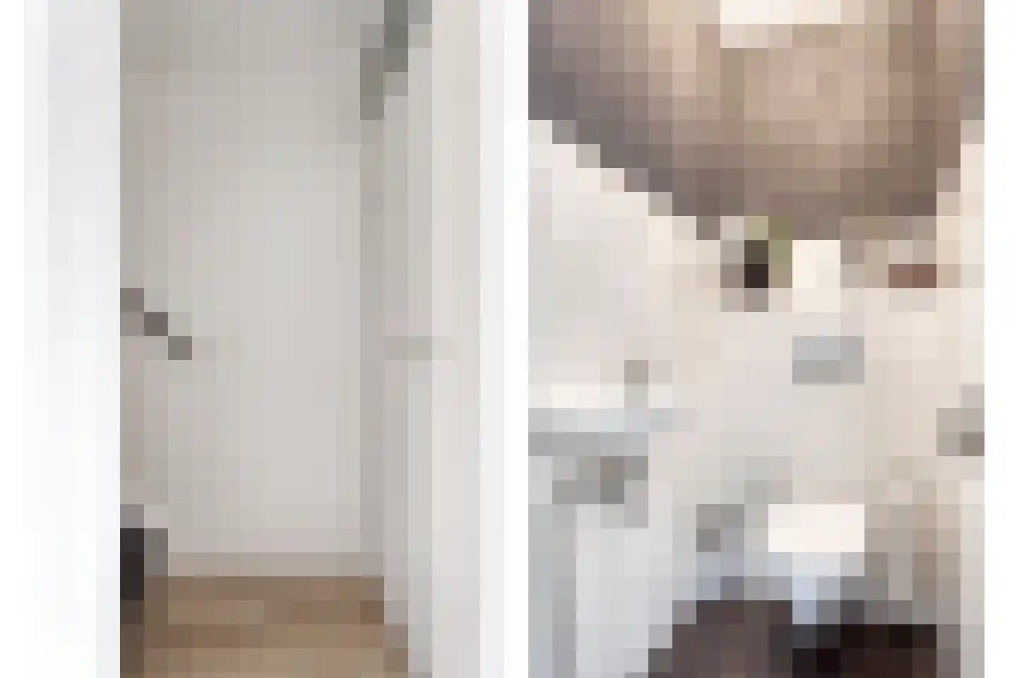 Cadizerf 6 Rotterdam thumbnail 20