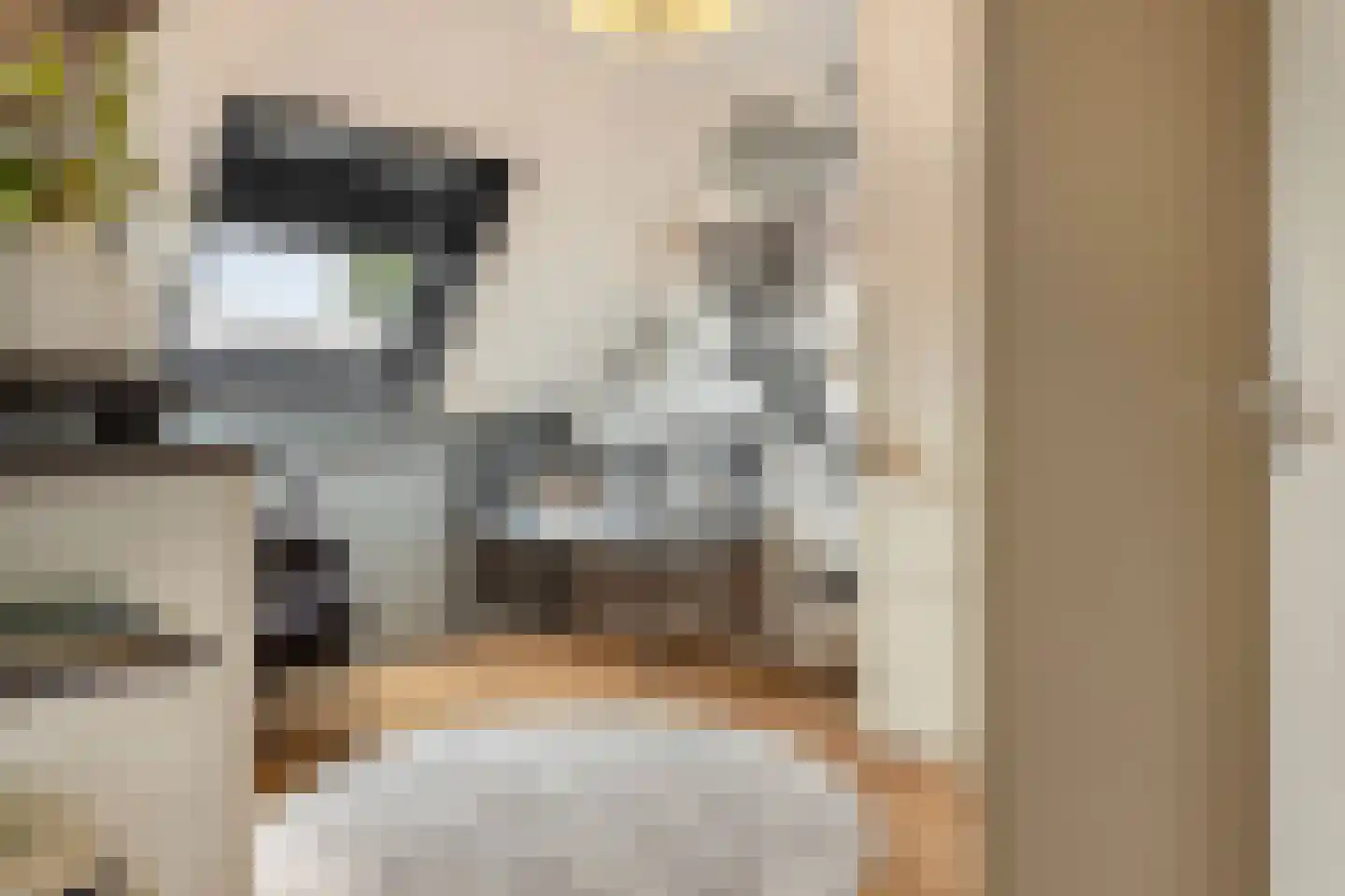 Cadizerf 6 Rotterdam thumbnail 23