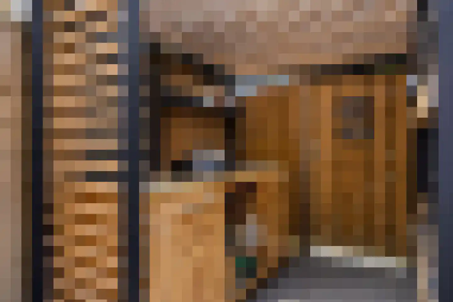 Cadizerf 6 Rotterdam thumbnail 37