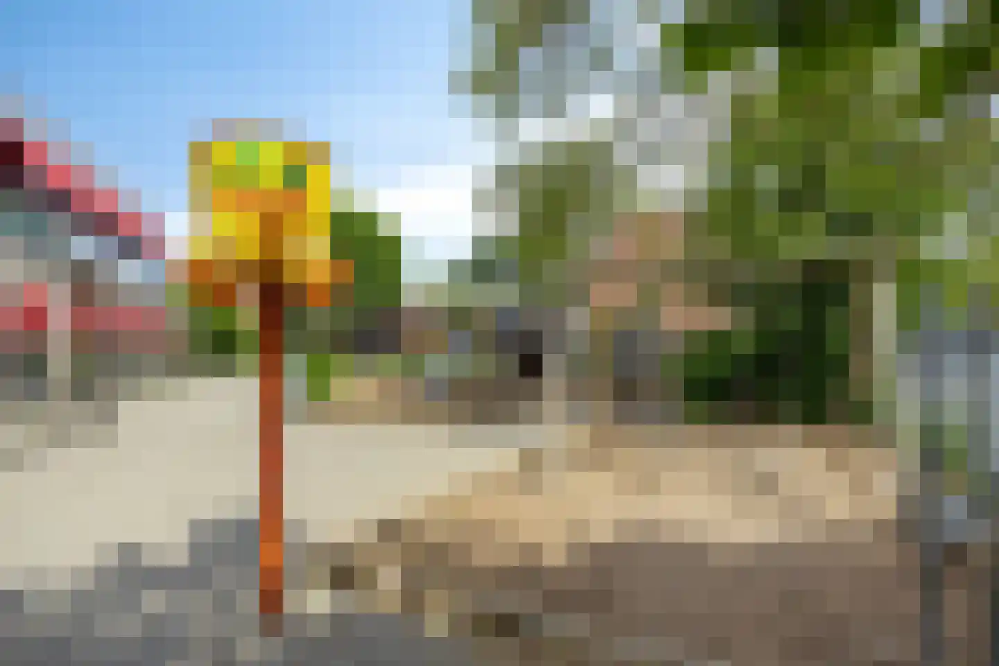 Cadizerf 6 Rotterdam thumbnail 40