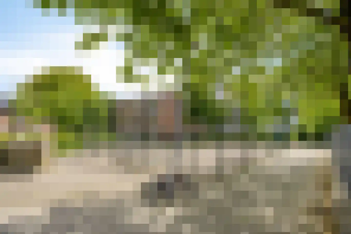 Cadizerf 6 Rotterdam thumbnail 41