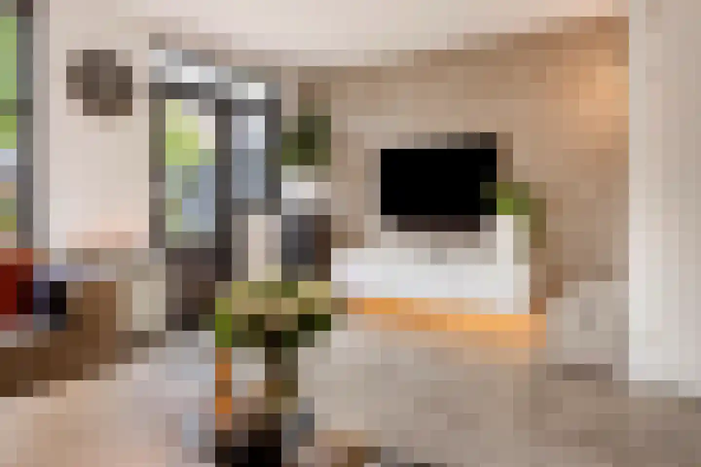 Cadizerf 6 Rotterdam thumbnail 7