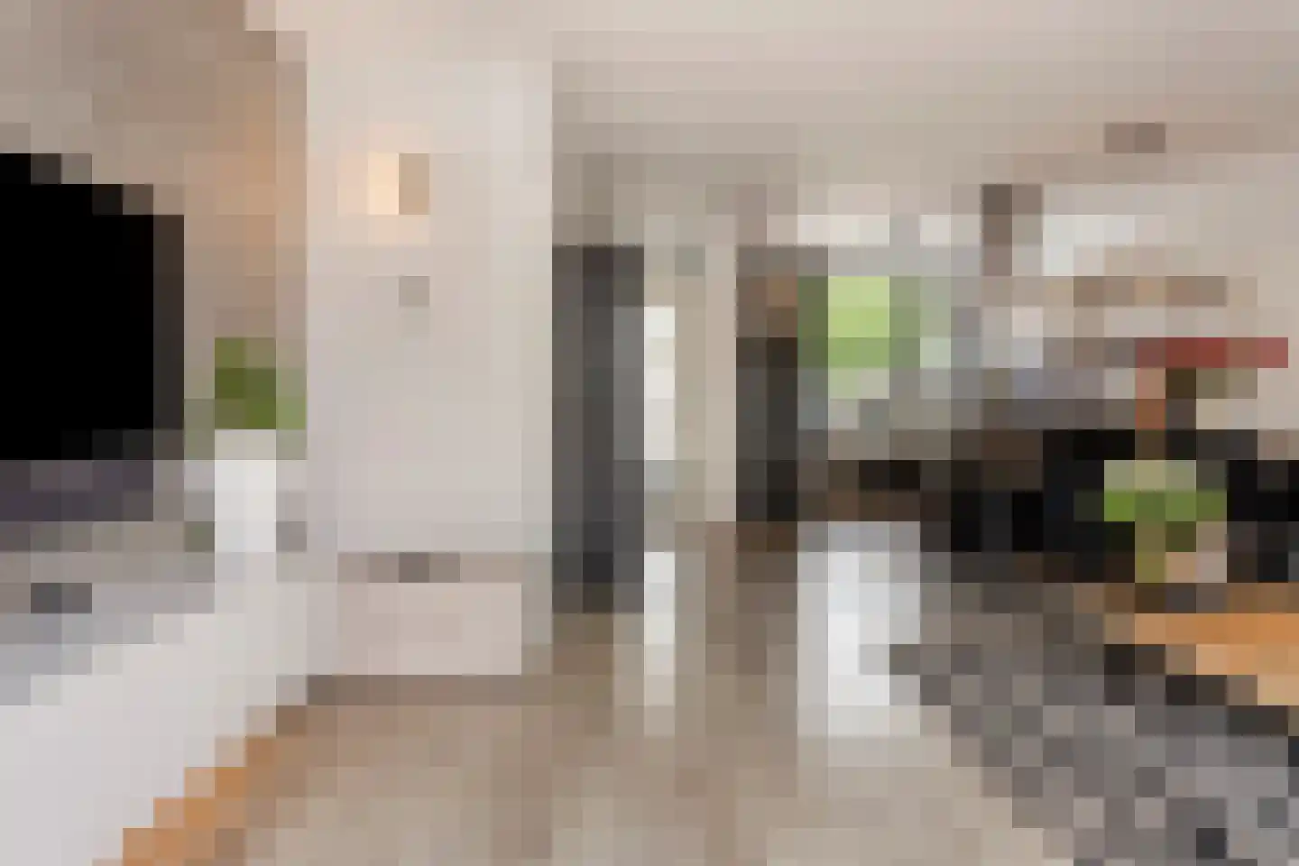 Cadizerf 6 Rotterdam thumbnail 8