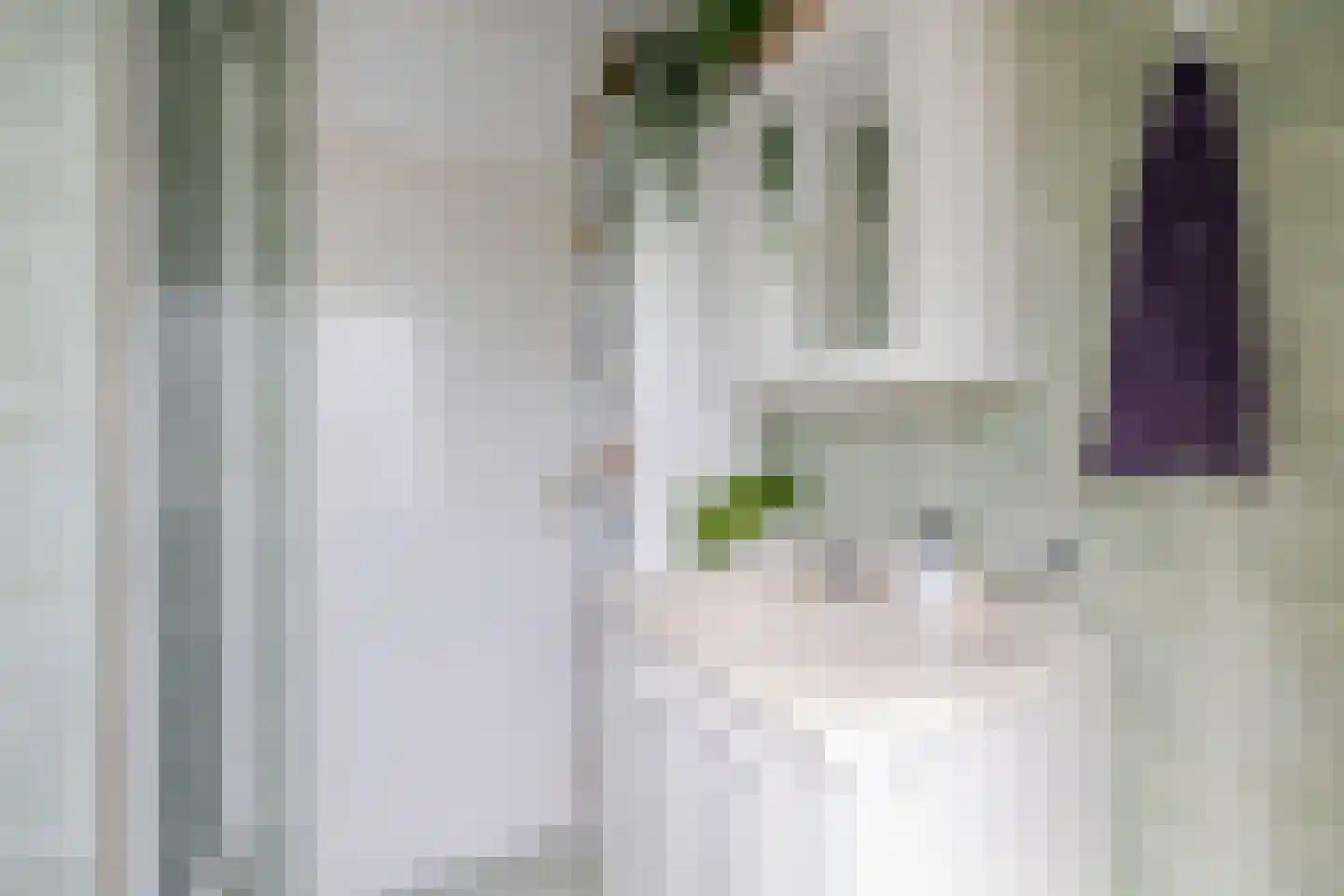 Cadmiumgeel 40 Zoetermeer thumbnail 28