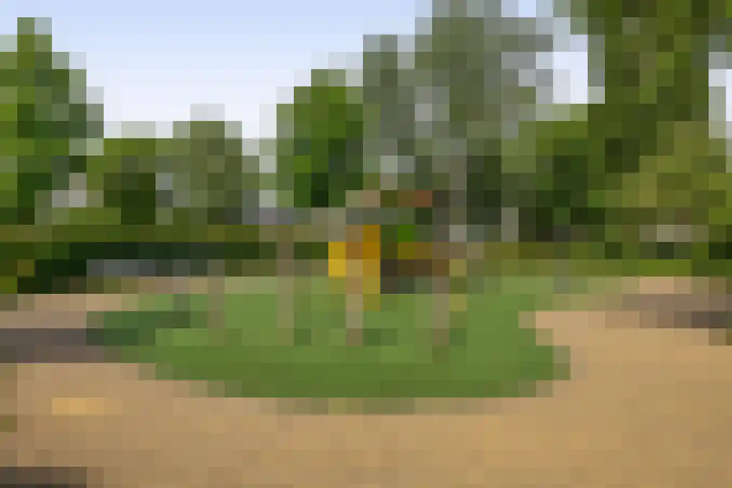 Cadmiumgeel 40 Zoetermeer thumbnail 33