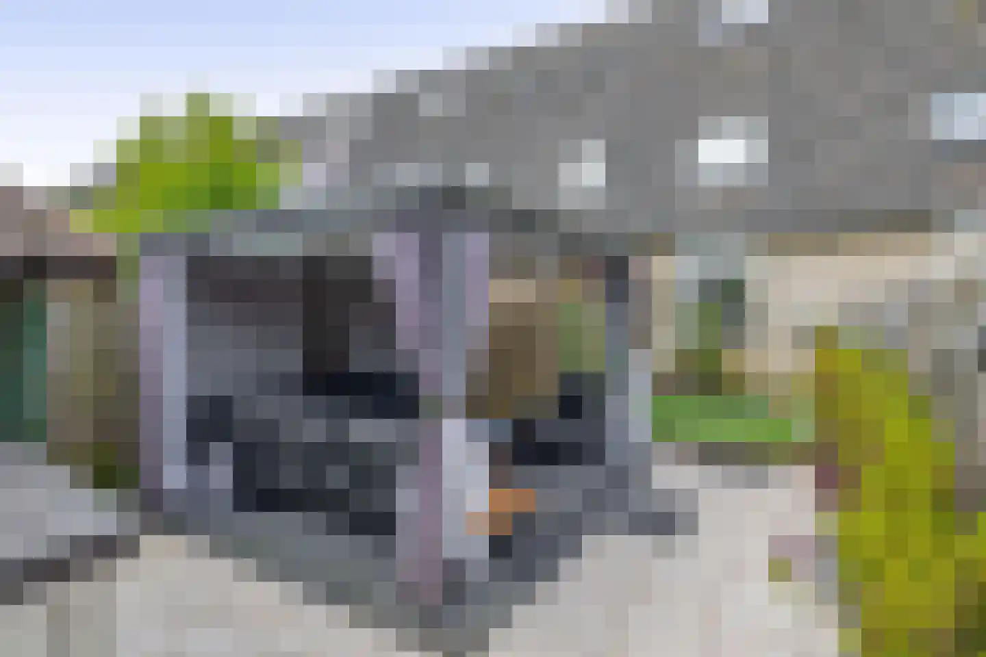 Cadmiumgeel 40 Zoetermeer thumbnail 6