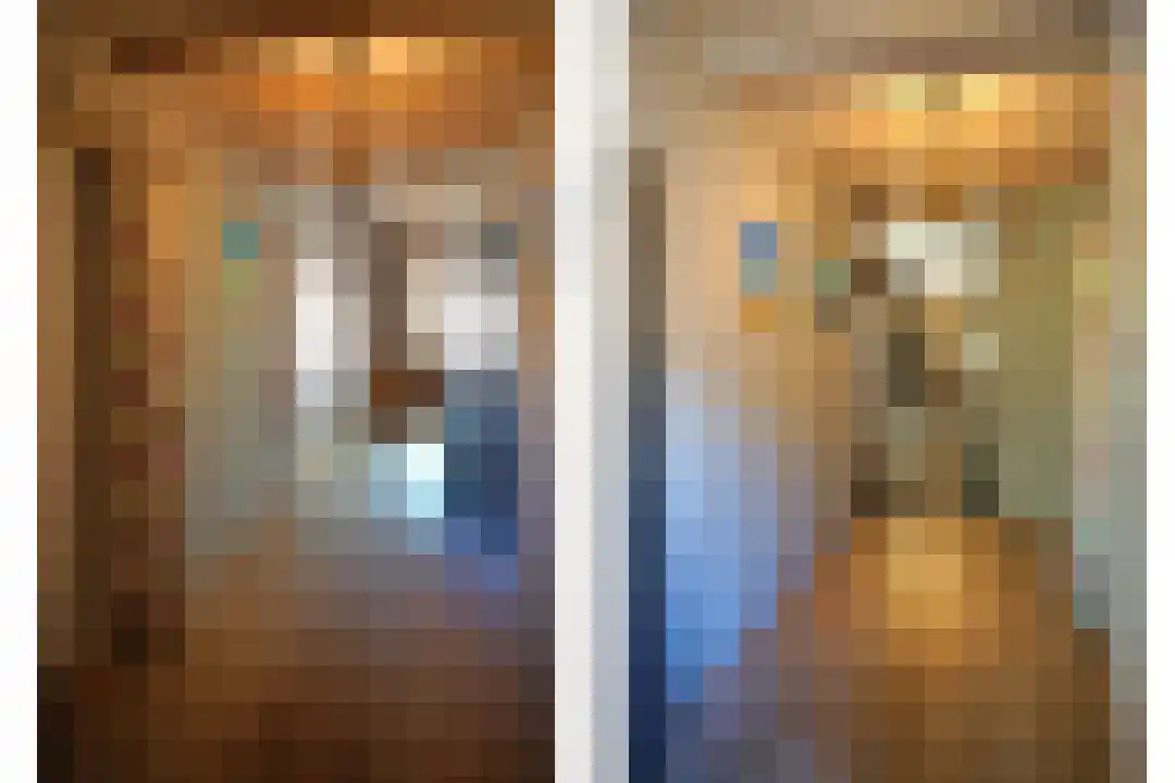 Cadzandseweg 10 Nieuwvliet thumbnail 12