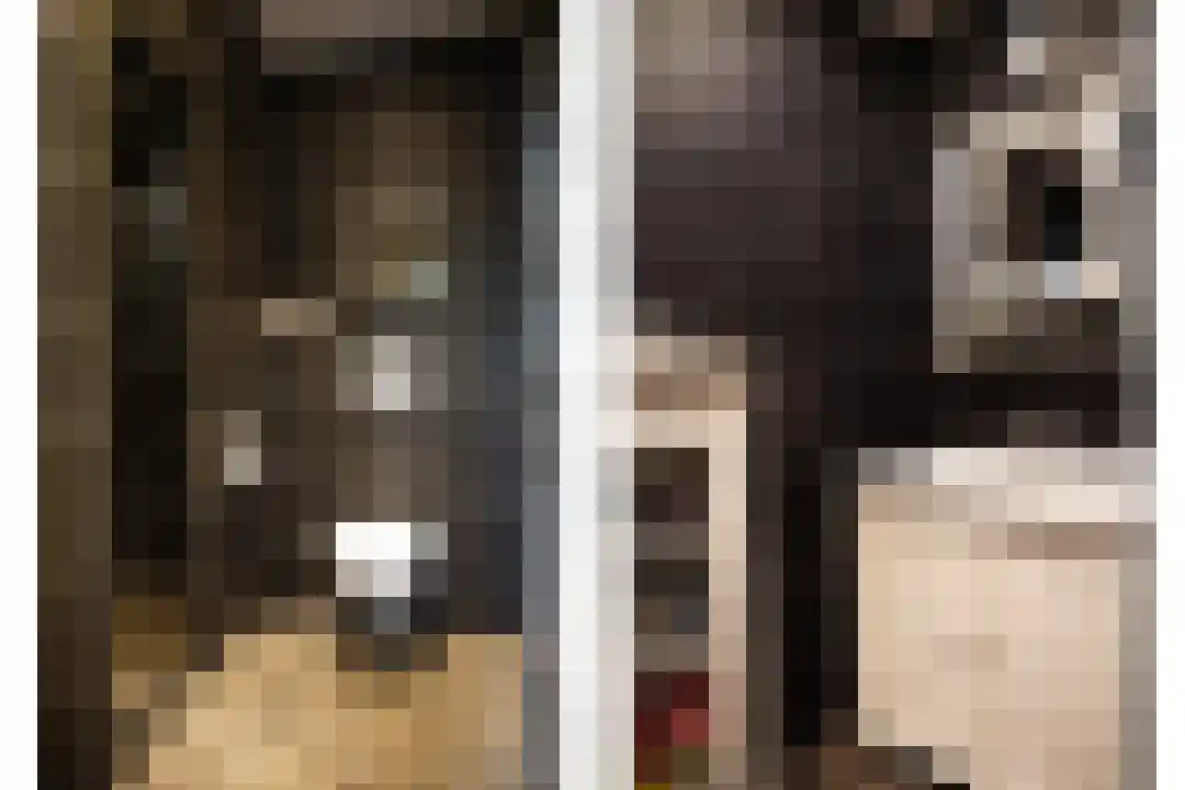 Cadzandseweg 10 Nieuwvliet thumbnail 13
