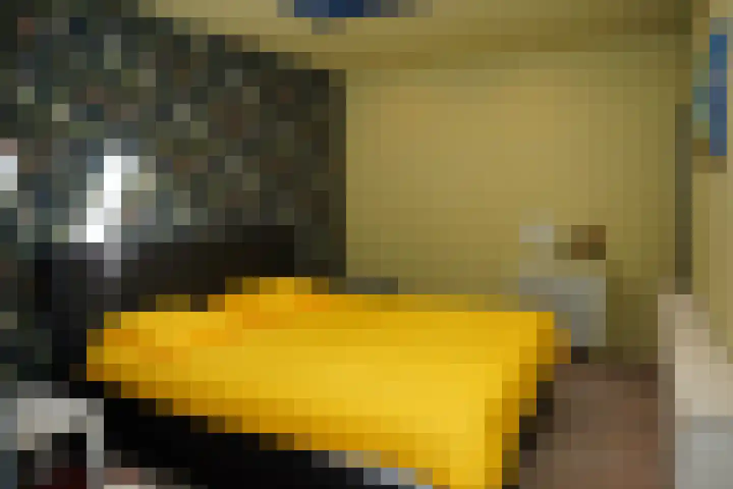 Cadzandseweg 10 Nieuwvliet thumbnail 14
