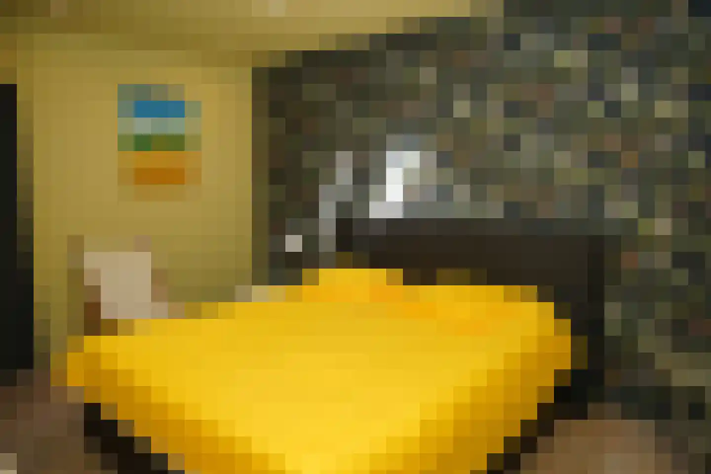 Cadzandseweg 10 Nieuwvliet thumbnail 15
