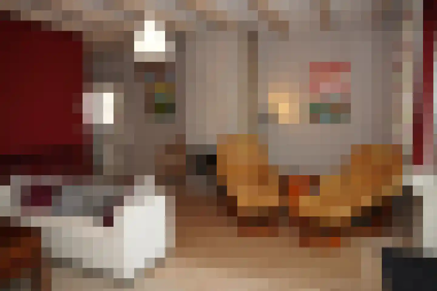 Cadzandseweg 10 Nieuwvliet thumbnail 17