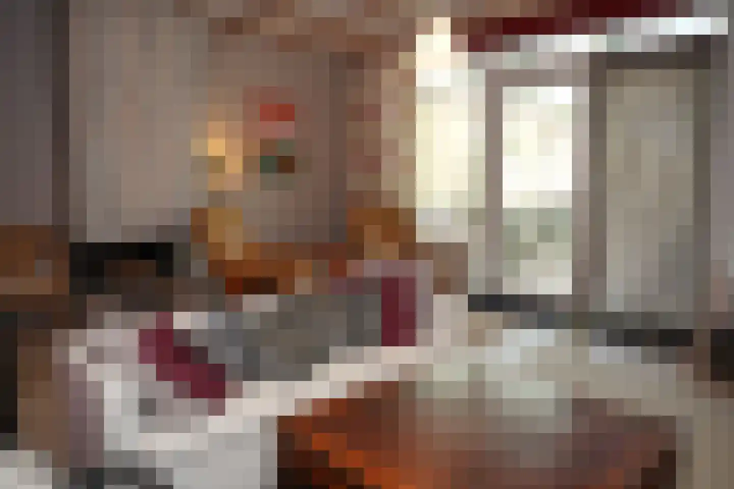 Cadzandseweg 10 Nieuwvliet thumbnail 18