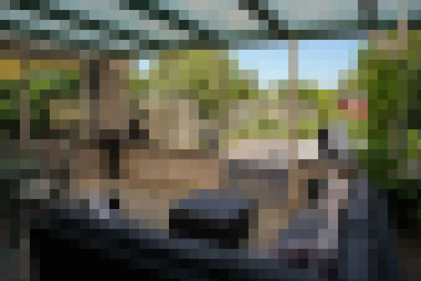 Cadzandseweg 10 Nieuwvliet thumbnail 20