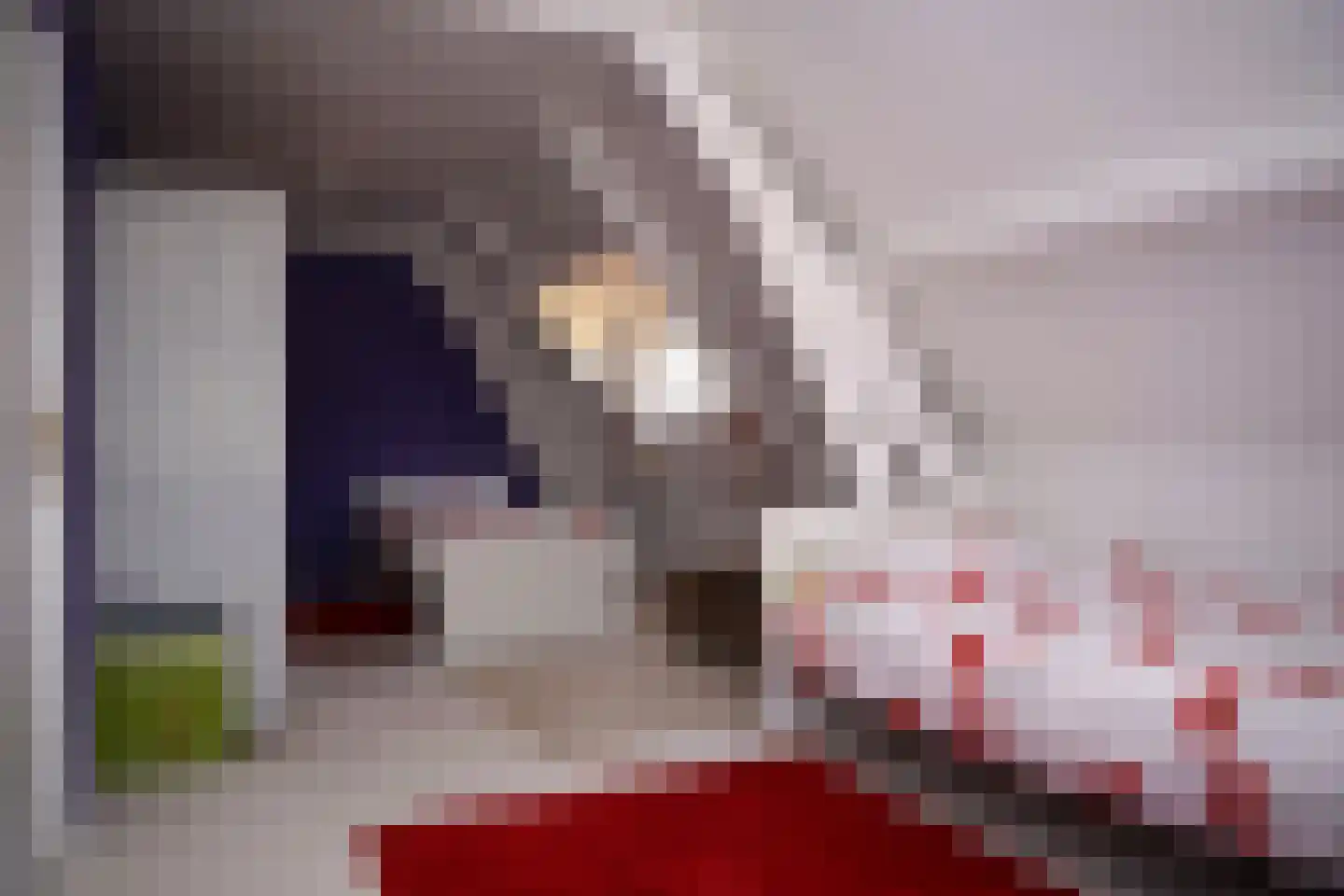 Cadzandseweg 10 Nieuwvliet thumbnail 23